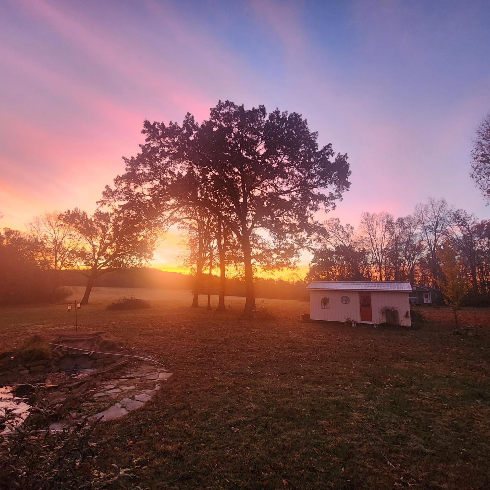 Sisters On Sycamore B&B Russellville Экстерьер фото